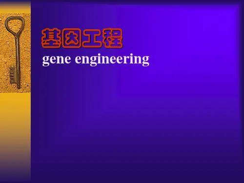 基因工程精选全文完整版