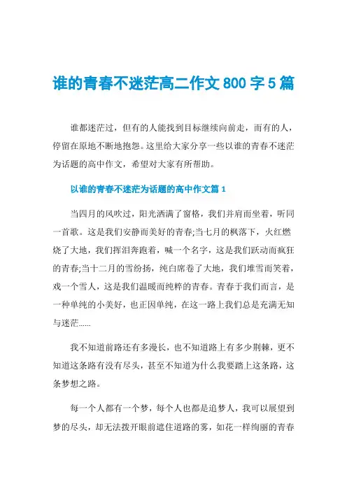 谁的青春不迷茫高二作文800字5篇
