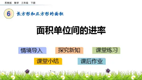 《面积单位间的进率》长方形和正方形的面积PPT