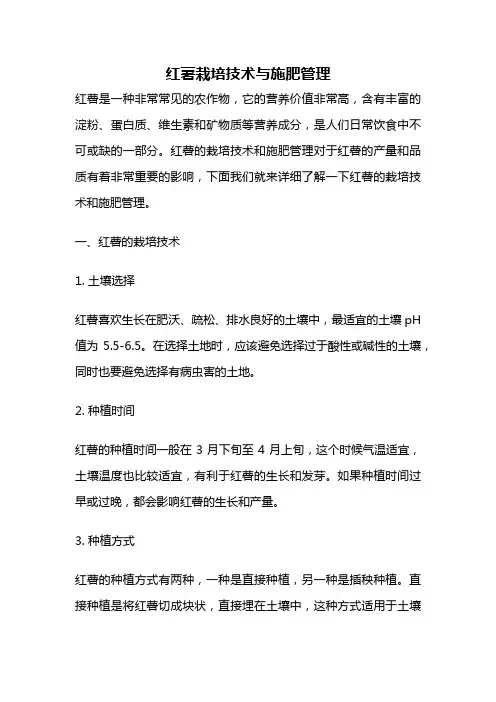 红薯栽培技术与施肥管理