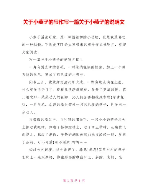关于小燕子的写作写一篇关于小燕子的说明文