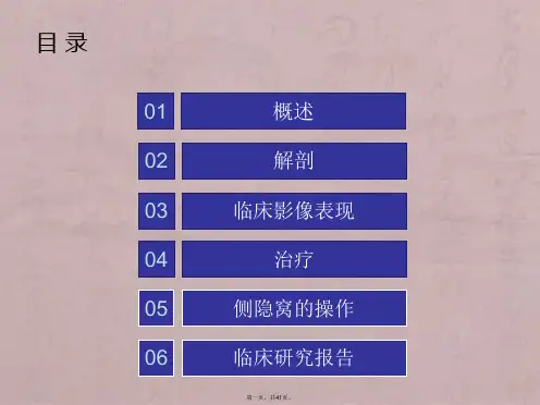侧隐窝处理在腰椎间盘突出症中应用