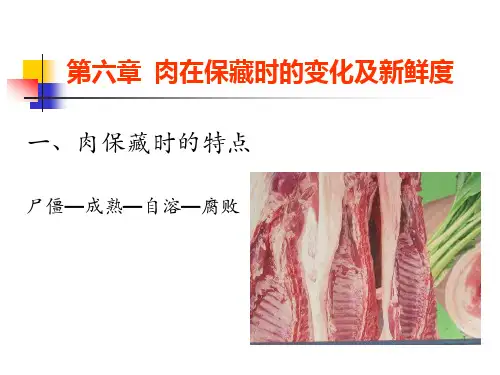 动物产品加工学-第六章-肉保藏时的变化及新鲜度