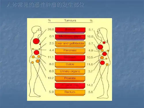 肿瘤标志物PPT课件