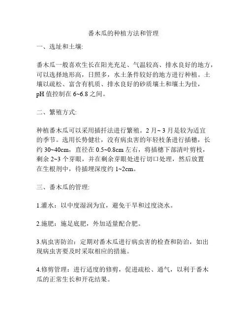 番木瓜的种植方法和管理