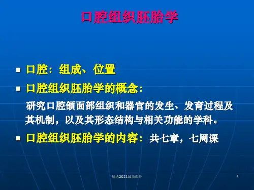 口腔颌面部发育PPT课件