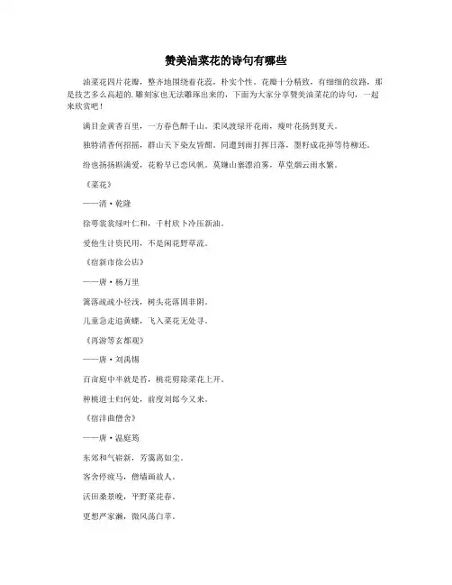 赞美油菜花的诗句有哪些