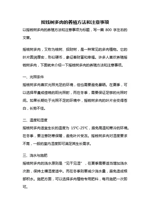 摇钱树多肉的养殖方法和注意事项