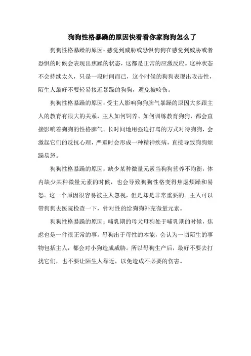 狗狗性格暴躁的原因快看看你家狗狗怎么了