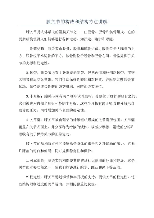 膝关节的构成和结构特点讲解