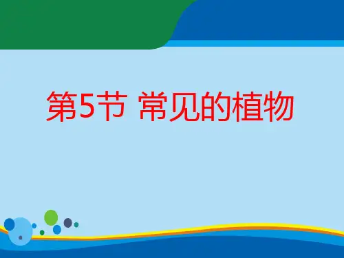 《常见的动物》PPT下载【精选推荐课件】