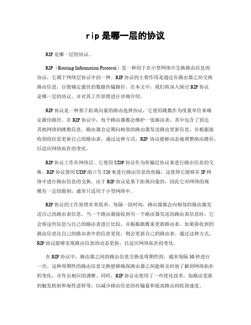 rip是哪一层的协议