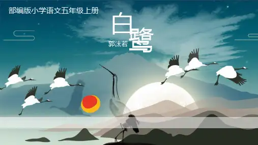 《白鹭》精品优质完整教学PPT课件(精选4篇)