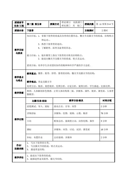 护理专业《下肢骨与骨连结教案》