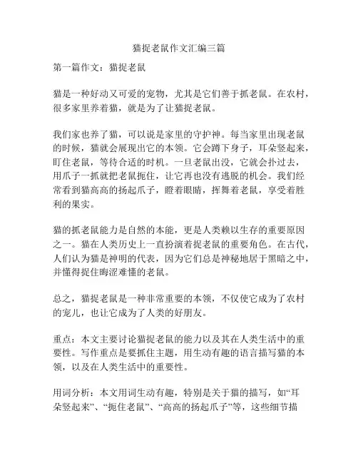 猫捉老鼠作文汇编三篇