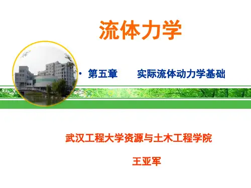 5.流体力学-实际流体动力学基础-wyj