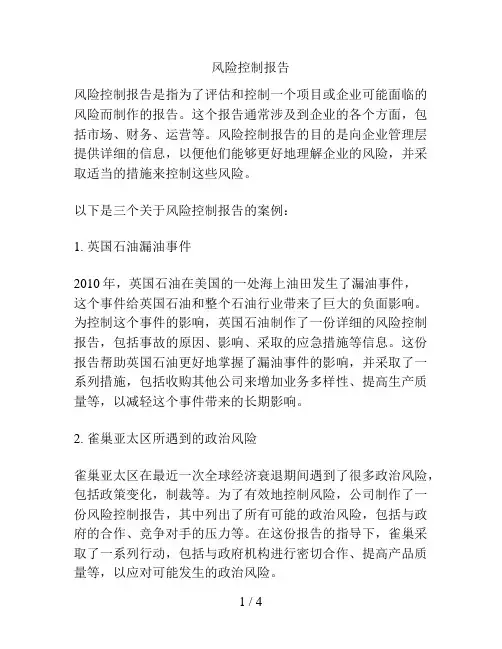 风险控制报告