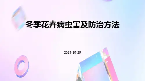 冬季花卉病虫害及防治方法