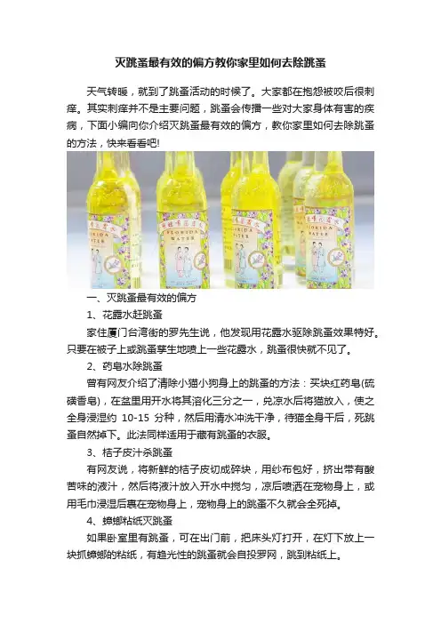 灭跳蚤最有效的偏方教你家里如何去除跳蚤