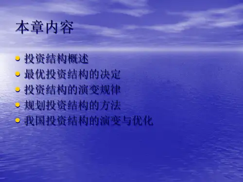 投资结构概述38页PPT