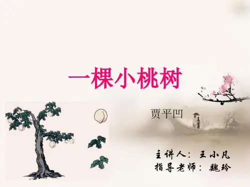 第19课《一棵小桃树》课件(共23张PPT)部编版语文七年级下册