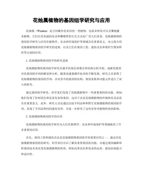 花烛属植物的基因组学研究与应用