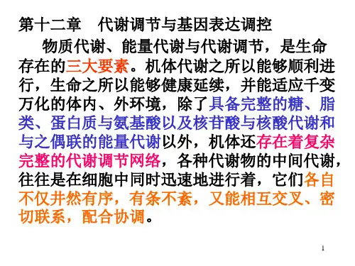 高中生物竞赛代谢调节与基因表达调控课件
