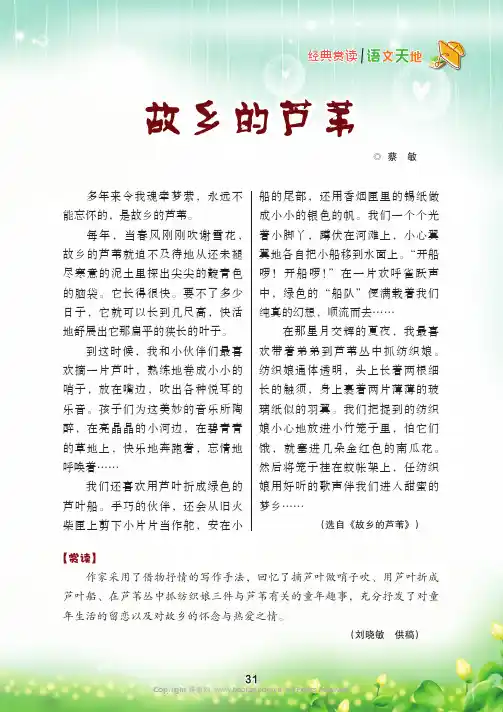 故乡的芦苇