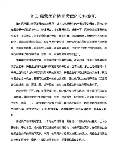 推动民营国企协同发展的实施意见