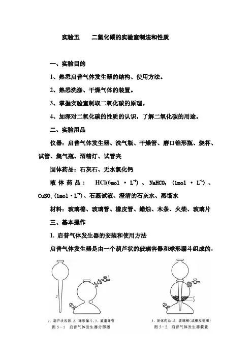 二氧化碳的实验室制法(同名622)
