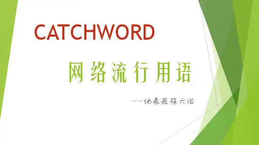 网络流行用语ppt课件