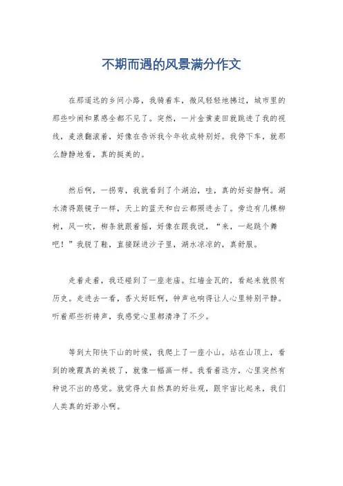 不期而遇的风景满分作文