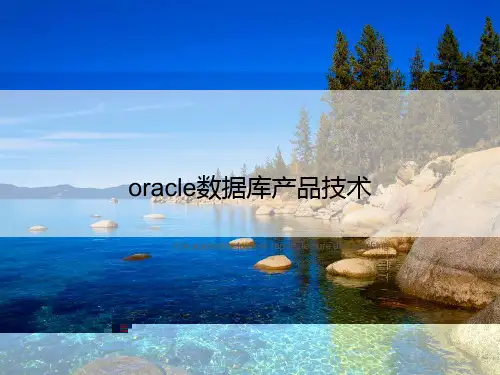 oracle数据库产品技术