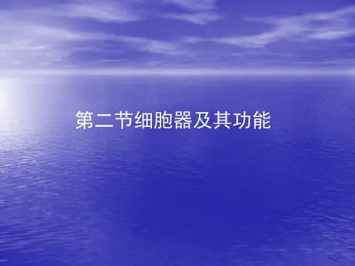 细胞器及其功能ppt 优秀课件