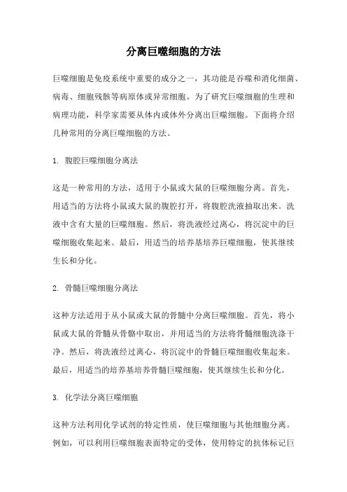 分离巨噬细胞的方法