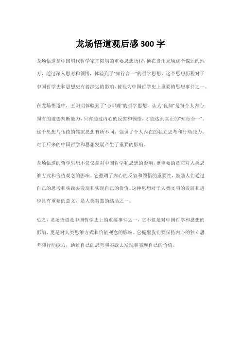 龙场悟道观后感300字