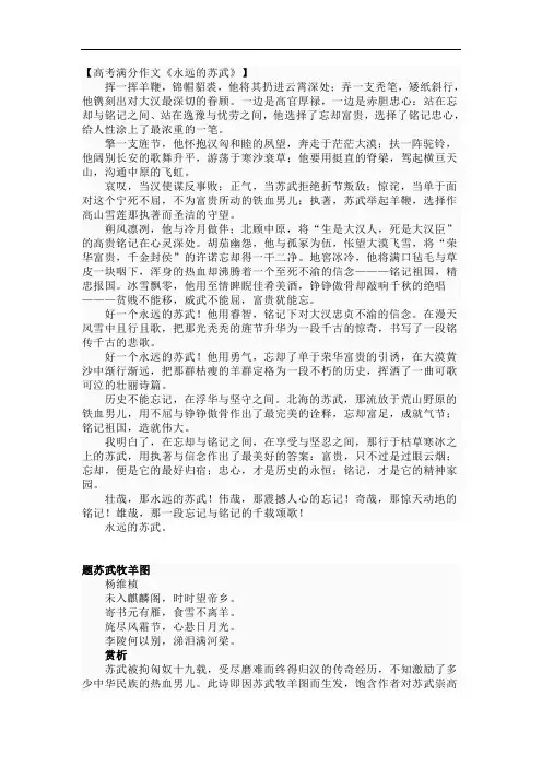 苏武满分高考作文