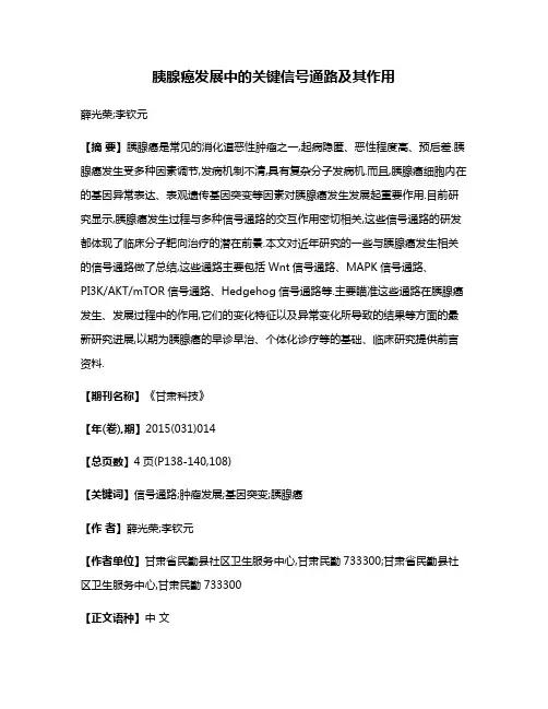 胰腺癌发展中的关键信号通路及其作用