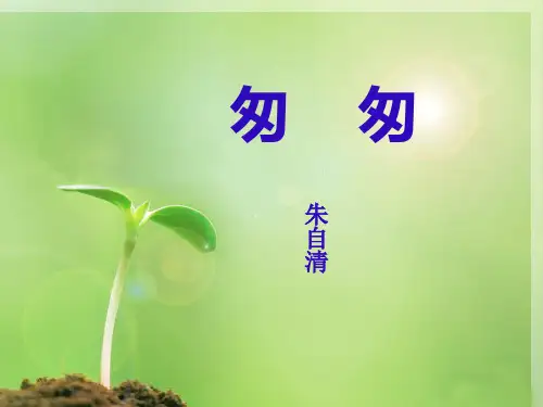 人教最新版小学六年级语文下册第十二册第二课《匆匆》精品PPT课件