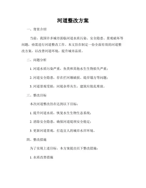 河道整改方案