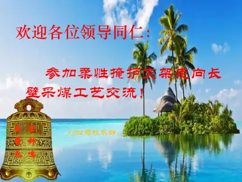 柔性掩护支架走向长壁采煤法交流讲义