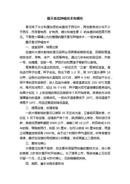 露天香瓜种植技术有哪些