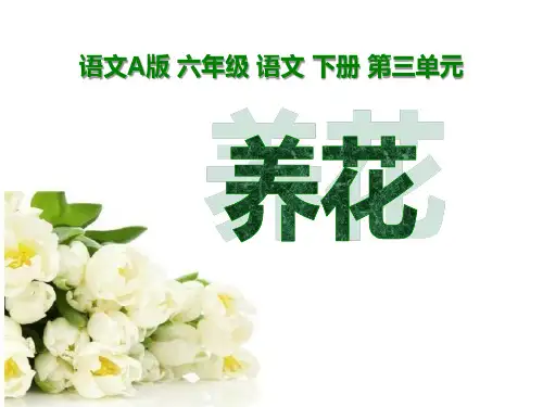 语文A版语文六下《养花》ppt课件