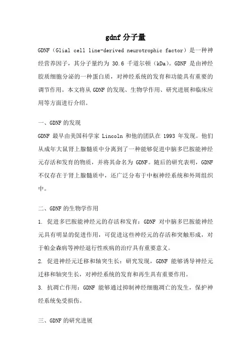 gdnf分子量