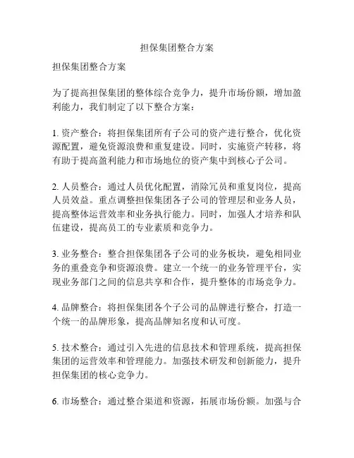 担保集团整合方案