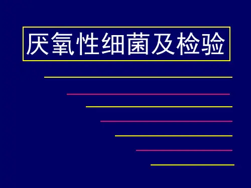 厌氧菌及检验