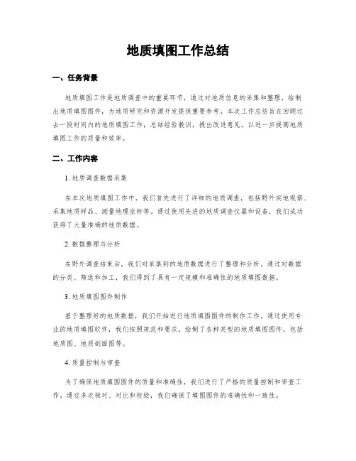 地质填图工作总结