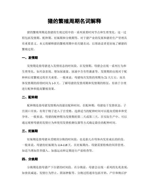 猪的繁殖周期名词解释