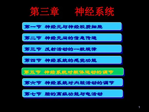 神经系统对躯体运动的调控ppt课件