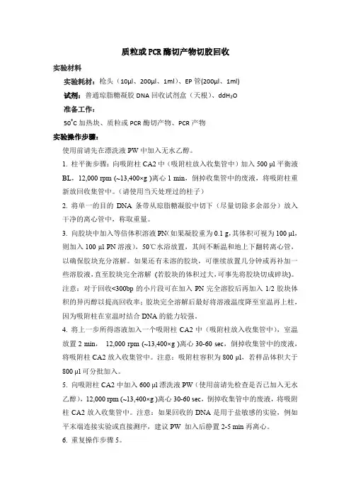 质粒或PCR酶切产物切胶回收